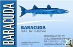 Bitte hier klicken um das Bild 'Baracuda.jpg' in einer greren Darstellung zu ffnen...